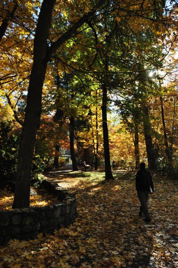 Caminhando sob uma chuva de folhas em parque de Ashland, no sul do Oregon, nos Estados Unidos